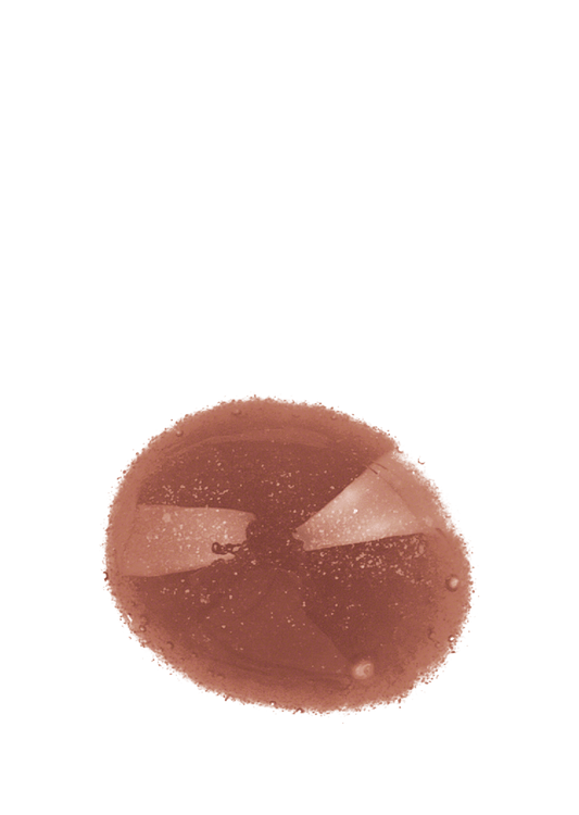 Annemarie Borlind Lip Gloss - Bronze, 10mL